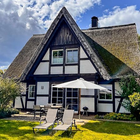 Ferienhaus Flieder In Liepe Rankwitz Kültér fotó